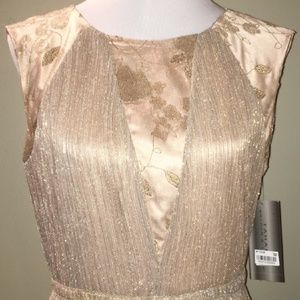 Tahari blush dress